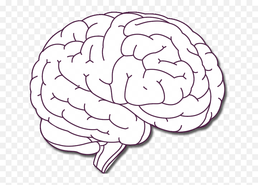 Think Brain Health Alzheimeru0027s Research Uk - Brain Parietal Lobe Transparent Emoji,Part Of The Brain Controls Emotion