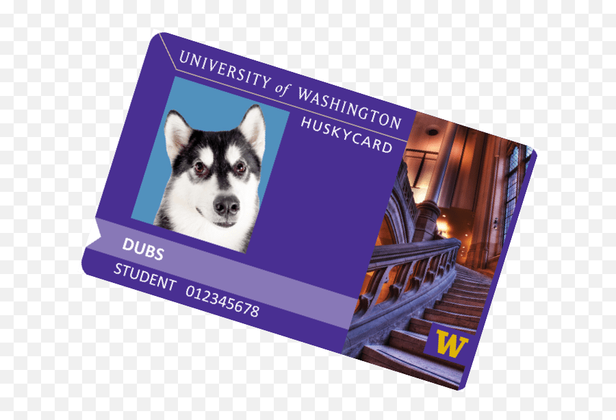 Changing Your Name And Gender In The Uw Student Database Q - Uw Student Card Emoji,Husky Stages Of Emotion