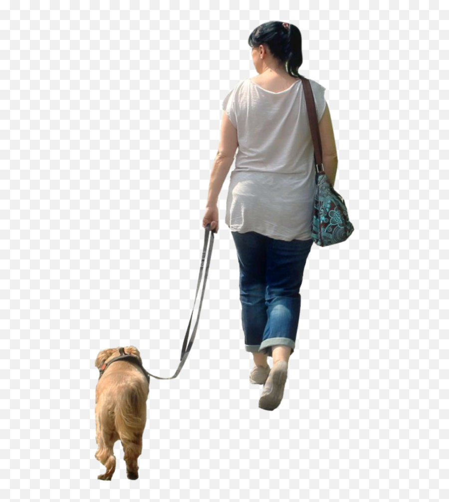 Women Woman Dog Walking Sticker - Martingale Emoji,Walking My Dog Emojis