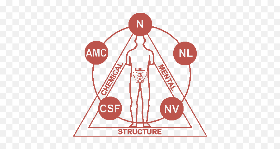 Our Services - Applied Kinesiology Emoji,Amc Wearable Emoji Emotion