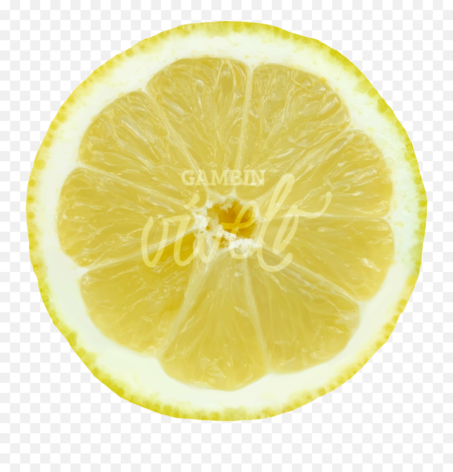 Gambin - Citrus Producers U0026 Citrus Exporters From Spain Meyer Lemon Emoji,Emotion Ltaly Flag Gif