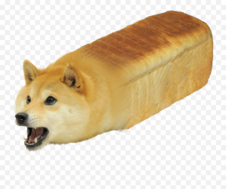 Download Hd Shiba Inu Doge Youtube - Doge Bread Transparent Emoji,Doge Emoticon Alpha Background