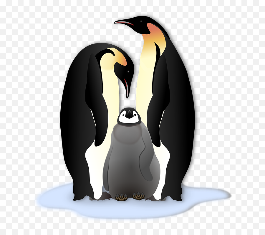 Word Pronunciation - Accent Pros Emoji,Skype Penguin Emoticon
