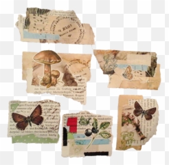 Vintage Aesthetic Bujo Sticker By - Aesthetic Journal Stickers Emoji,Diy Emoji Stickers