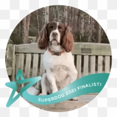 Lucy - Naturo Superdog Awards Emoji,Miranda Wink Emoticon