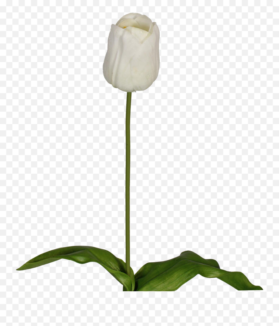 Artificial Tulip Stem Blooming Artificial Emoji,Sweet Emotion Stems
