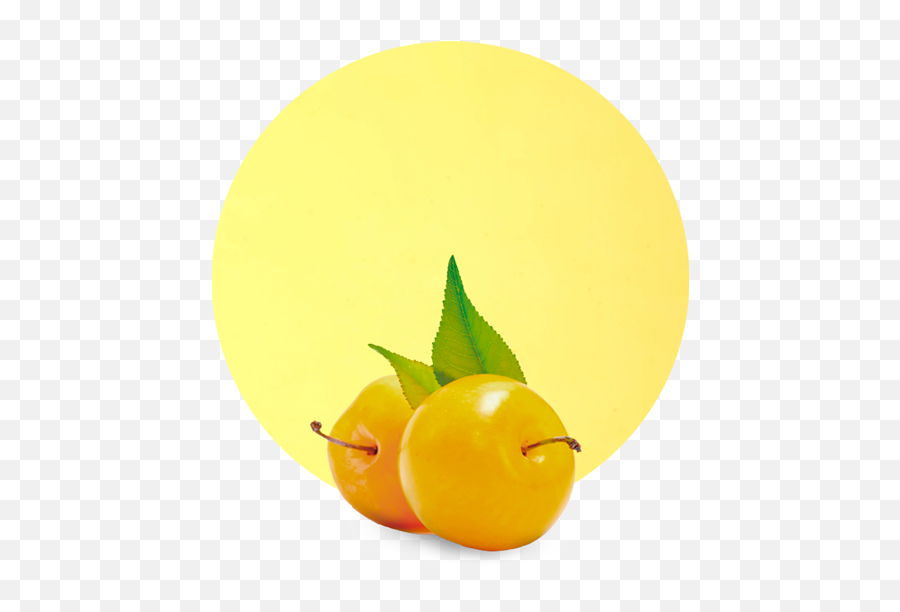 Fruit Purees Manufacturer U0026 Supplier - Tailored Service Emoji,Lychee Emoji