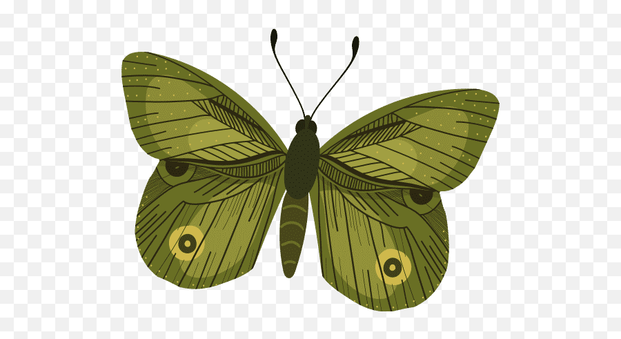 Margotikaj U2013 Canva Emoji,Butterfly Emoji Combos