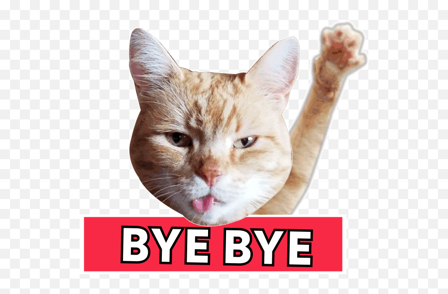 Waving Bye Animation Page 1 - Line17qqcom Cat Waving Goodbye Gif Emoji,Android Wave Emoji