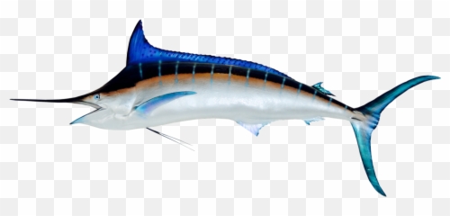 Trending - Blue Marlin Edible Emoji,Swordfish Emoji