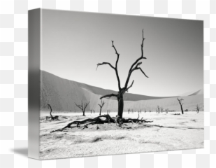 Surreal Desert Landscape By Alexander Hafemann - Black And White Trees In Desert Emoji,Trees Emotion Paintings