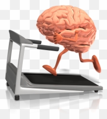 Body Makeover - Create Health Nevada Training The Gut Jeukendrup Emoji,Emotions Energy Human Body Pics