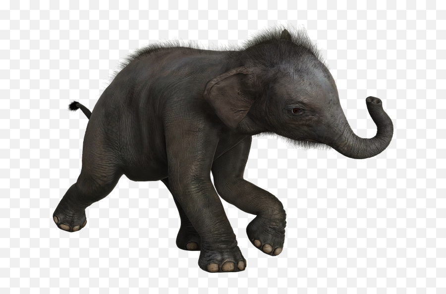 Wild Elephant Pachyderm Mammals - Animal Figure Emoji,Elephants + Emotions + Happiness