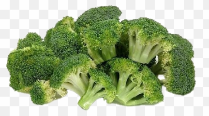 Green Broccoli Png Photo Png Mart Emoji,Brocolo Emoji