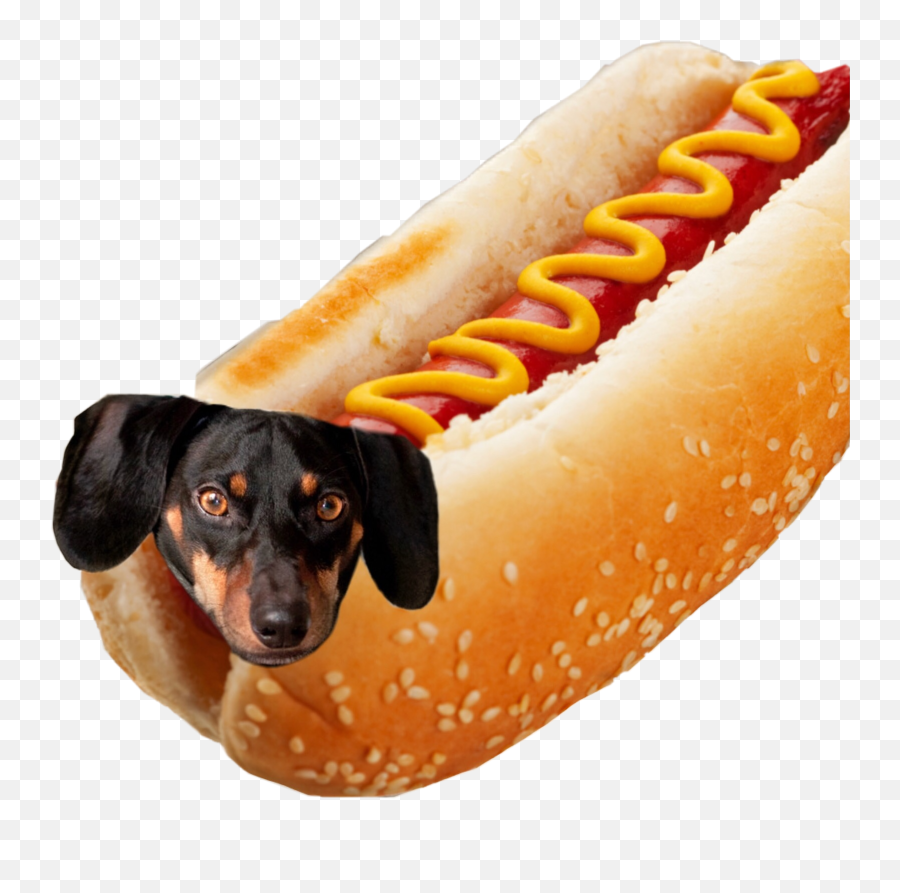 Hotdog Sticker Yummy Guess What Sticker - Hot Dog Hd Png Emoji,Hotdog Emoji