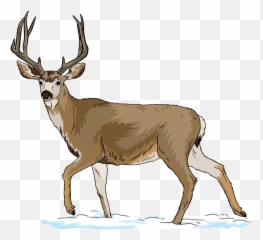 Mule Deer Clipart - Mule Deer Clipart Emoji,Whitetail Deer Emoji