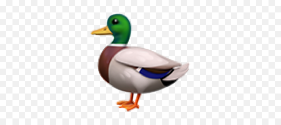 Duck Emoji Sticker - Conceptual John Baldessari,Duck Emoji