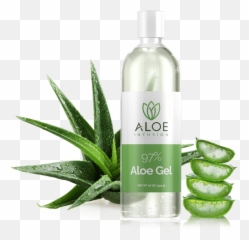 Aloe Infusion - Aloe Vera Gel Aloe Vera Emoji,Amazin Celiac Emojis