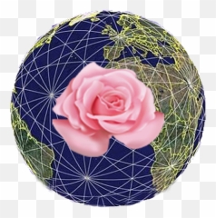Rose Code Activation Emoji,Isis Playing Emotions