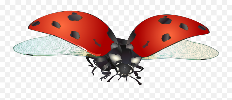 Ladybug Png Transparent Image - Clip Art Emoji,Miraculous Ladybug Emojis