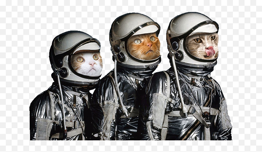Home Kc Pet Project - First 3 Astronauts Shepard Grissom Glenn Emoji,Ech Cat Emotion