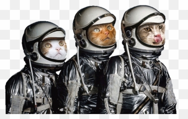 Home Kc Pet Project - First 3 Astronauts Shepard Grissom Glenn Emoji,Ech Cat Emotion