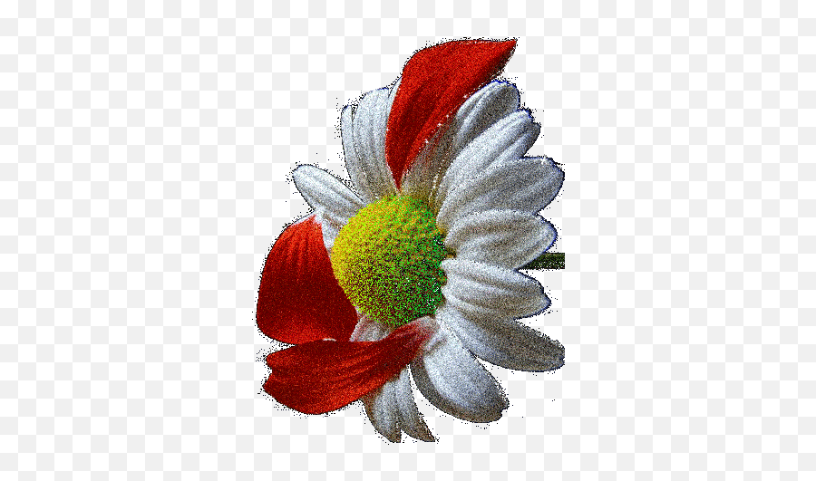 Flowers Gif Beautiful Flowers - Beautiful Color Flower Gif Emoji,Flowers Animated Emoticons