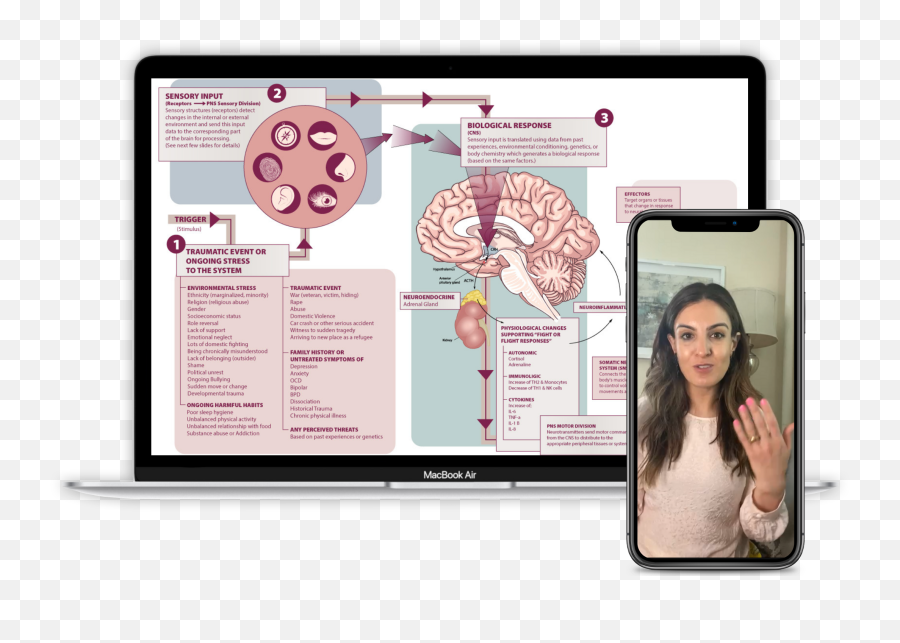 Trauma Therapist Training Course - Integrative Psychotherapy Emoji,Dissociative Emotions Trauma Therapist Training Course - Integrative Psychotherapy Emoji,Dissociative Emotions