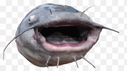 Pog - Catfish Hexbear Emoji,Trophy Cake Emoji Roblox