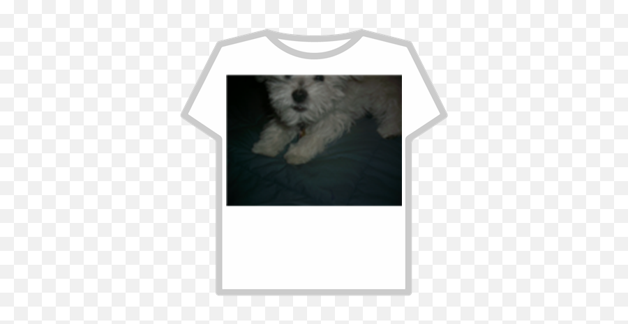 You Didnt Let Me Get My Whole Face In - Roblox T Shirt Png Emoji,Maltese Emoji