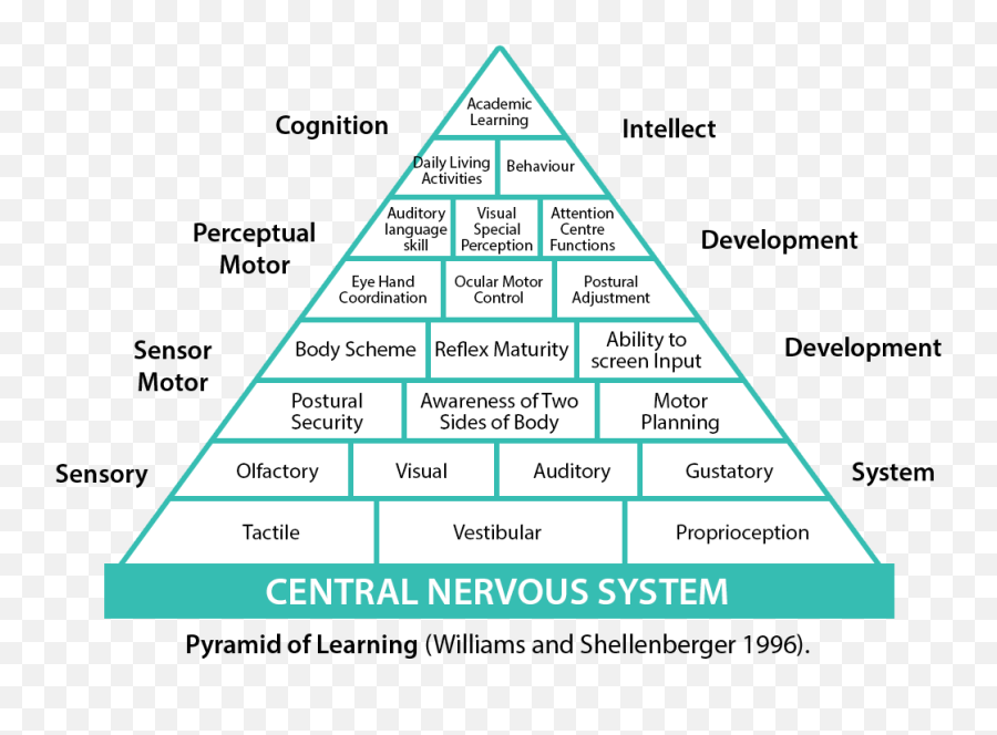 Sensory - Sensory Learning Pyramid Emoji,Sensory Emotions