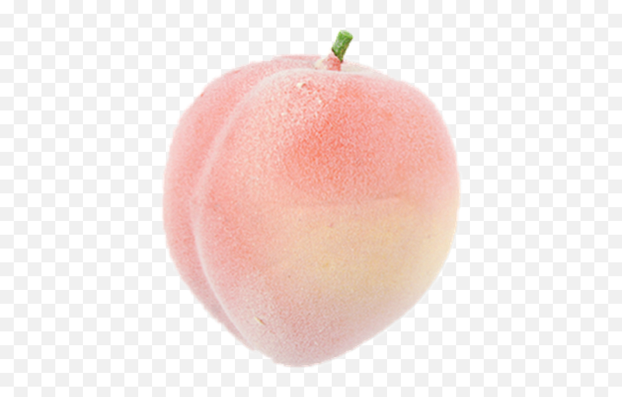 Tumblr Peach Pink Fruit Cute Sticker By Wayrachalle - Pastel Peach Png Emoji,Peach Emoji Tumblr
