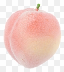 Tumblr Peach Pink Fruit Cute Sticker By Wayrachalle - Pastel Peach Png Emoji,Peach Emoji Tumblr