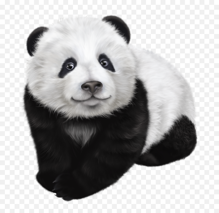Panda Png Animal Images Panda Bear Cute Panda Baby Panda - Cute Real Panda Png Emoji,Panda Emoji Clipart
