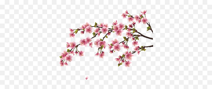 Home Somber - Peach Blossom Png Transparent Emoji,Rock My Emotions By Kitsune^2.