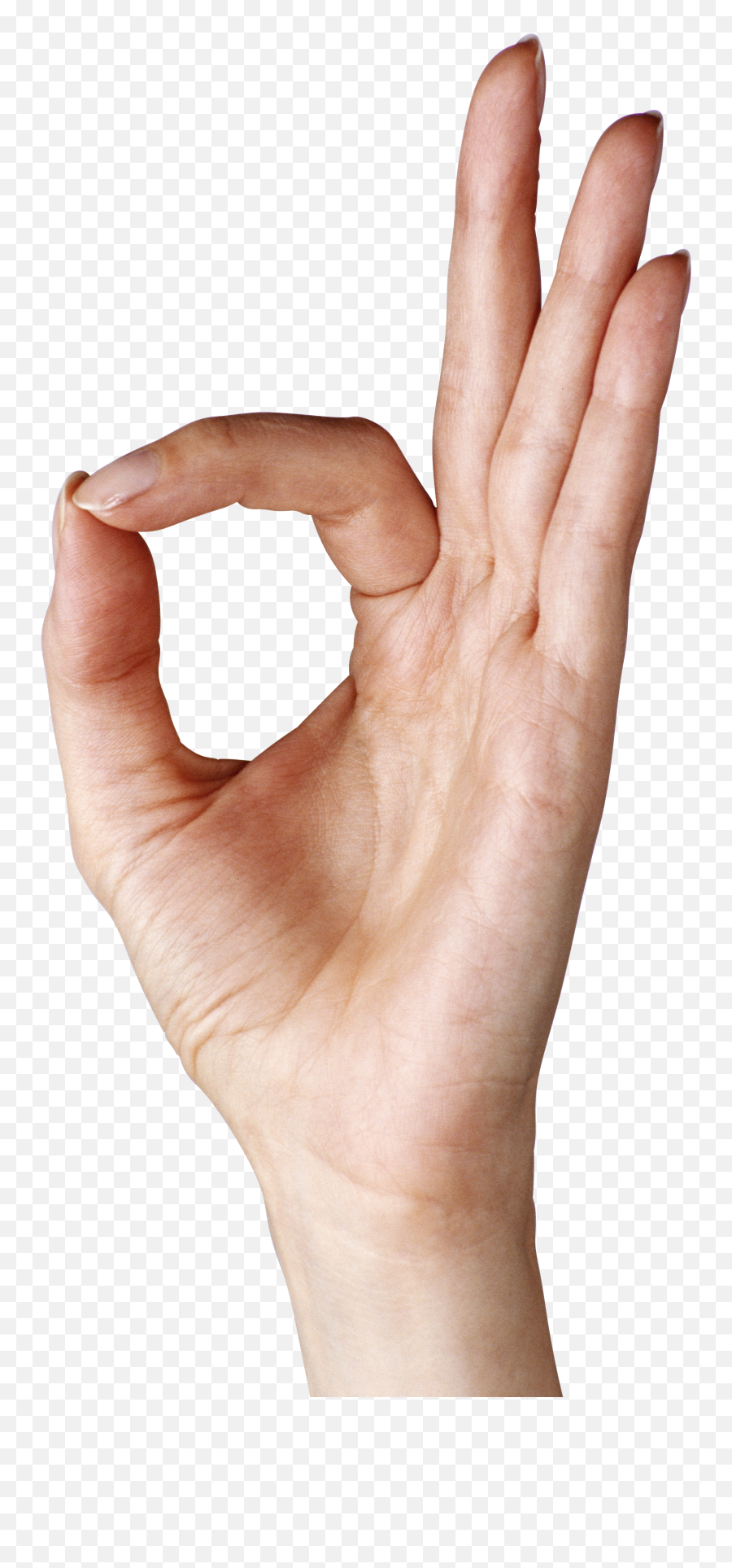 Ok Hand Png Free Ok Hand - Ok Hand Sign Transparent Background Emoji,Ok Hand Emoji