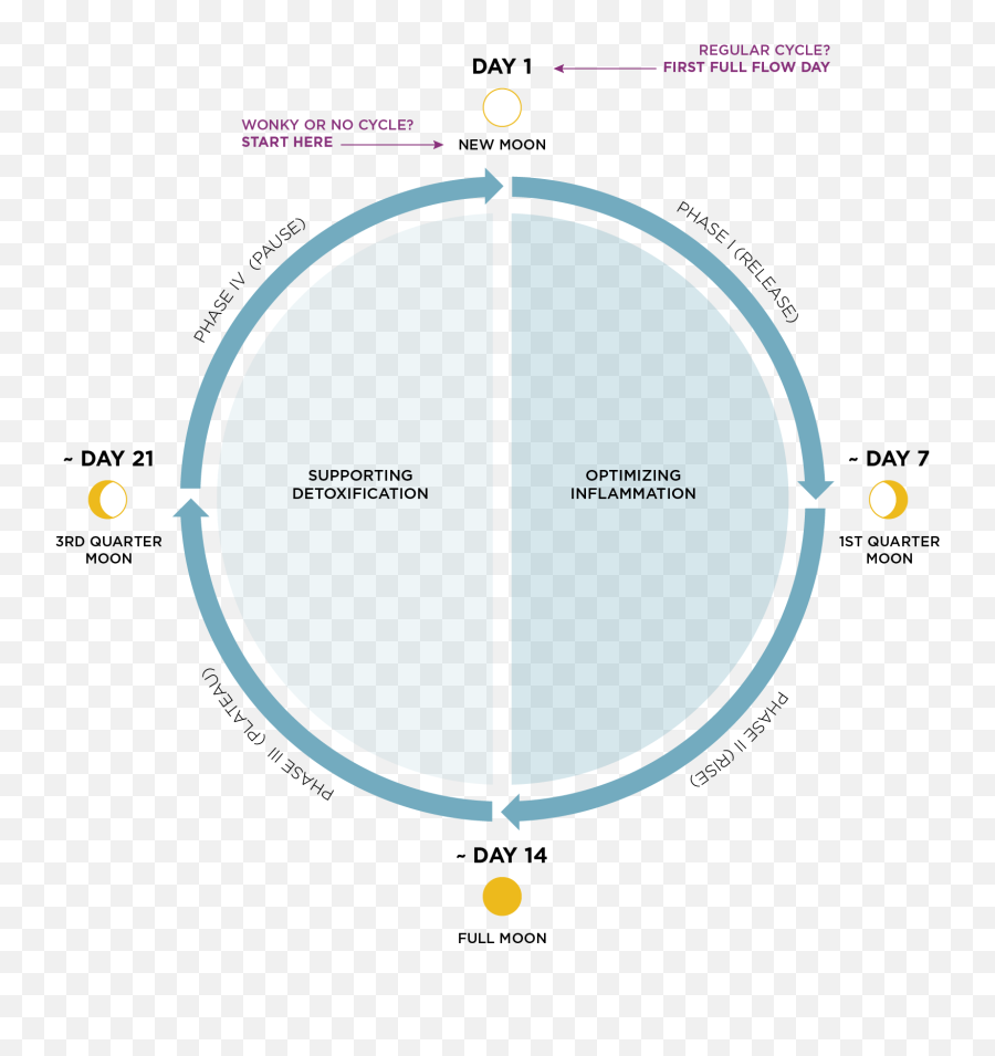 The 4 Phase Cycle - Menstrual Cycle Moon Cycle Emoji,Menstrual Cycle Emotions