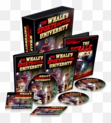 The Whaleu0027s Sports Betting University Emoji,Skybox Masters Dennis Rodman Emotion Card