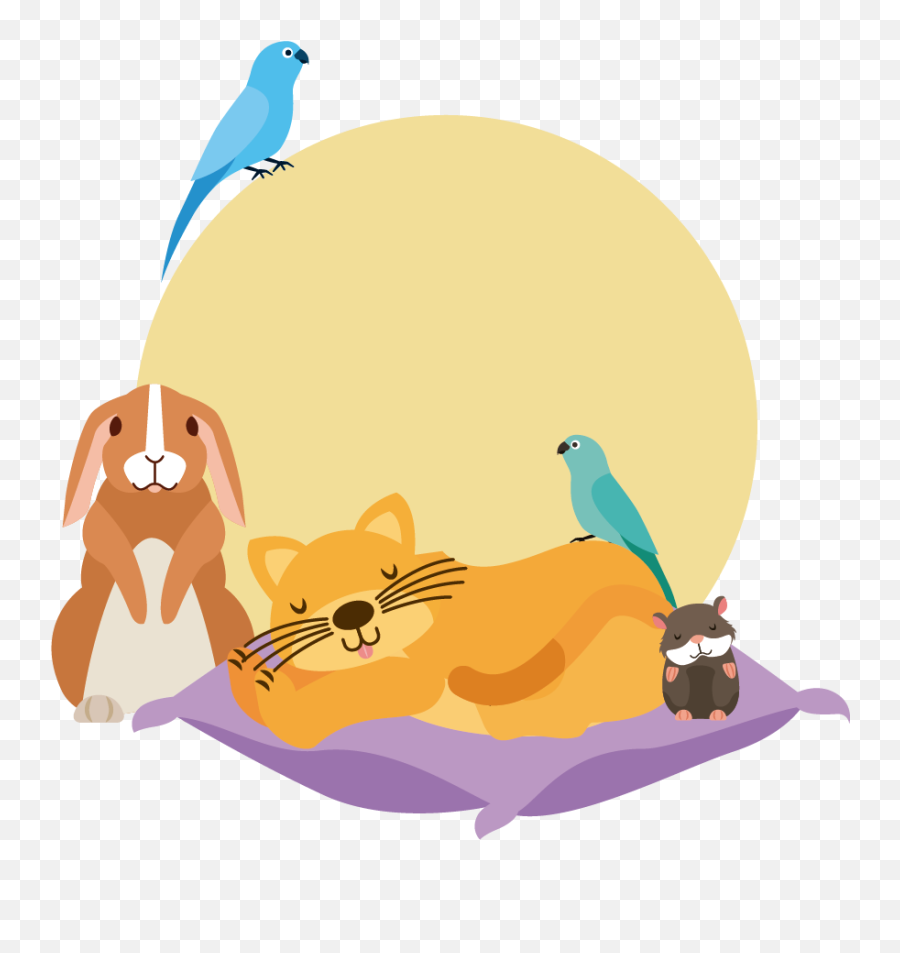 Classroom U0026 Companion Animal Rescue U2013 Living With Harmony Emoji,Dali Lama Emotions App