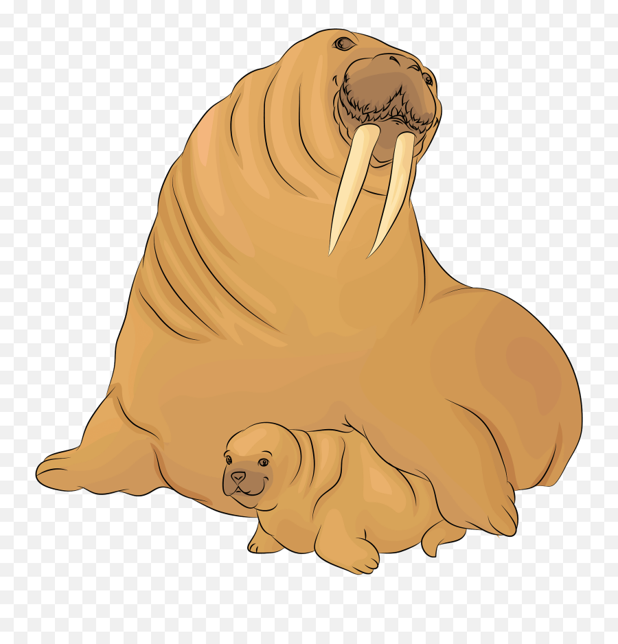 Walrus With A Cub Clipart Free Download Transparent Png - Walrus Pn G Emoji,Cub Emoji