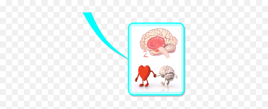 How Does My Brain Work - Language Emoji,Part Of The Limbic System That Deals With Emotions