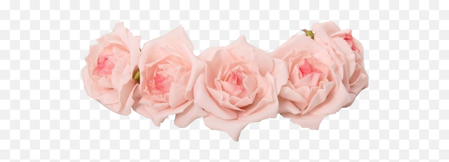 Corona De Flores Para El Pelo Png - Pink Flower Crown Png Emoji,Coroas De Folres Para Velorio Em Emoji