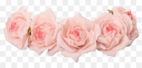 Corona De Flores Para El Pelo Png - Pink Flower Crown Png Emoji,Coroas De Folres Para Velorio Em Emoji