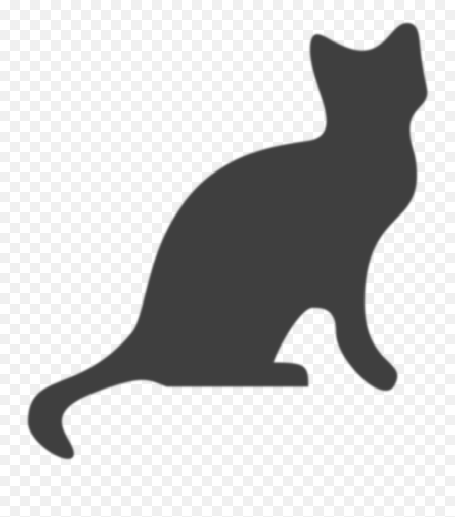 Cats - The Good Vet And Pet Guide Do Cats Like To Be Pat Emoji,Grey Tabby Emojis