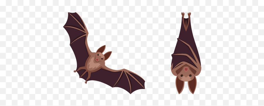 Bat Cursor U2013 Custom Cursor - Transparent Bat Hanging Upside Down Emoji,Raccoon Emoticons Whatsapp