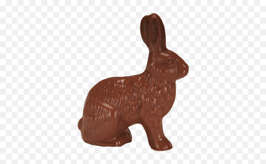 Chocolate Jack Rabbit - Domestic Rabbit Emoji,Bunny Holding Cake Emoticon