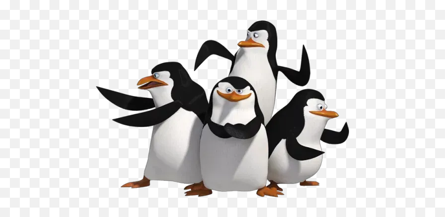 Madagascar Sticker Pack - Iphone Wallpaper Penguins Of Madagascar Emoji,Whatsapp Emoticons Penguinpng