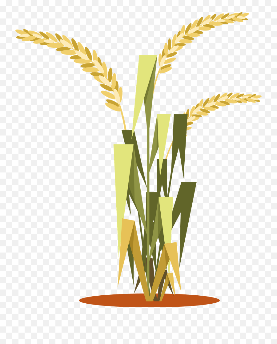 Rice Plant Clipart - Transparent Rice Plant Clipart Emoji,Ear Of Rice Emoji