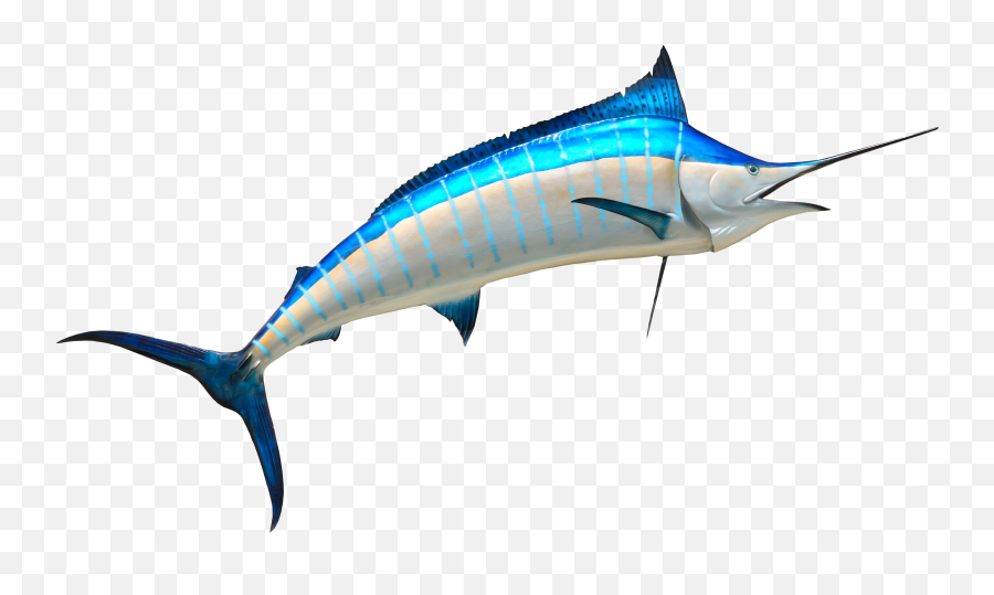 Download Free Png Fish Png Images - Marline Fish Clip Art Emoji,Swordfish Emoji