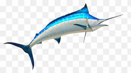 Download Free Png Fish Png Images - Marline Fish Clip Art Emoji,Swordfish Emoji
